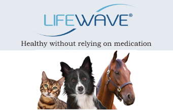 Lifewave stem cell patches for cats, dogs and hources